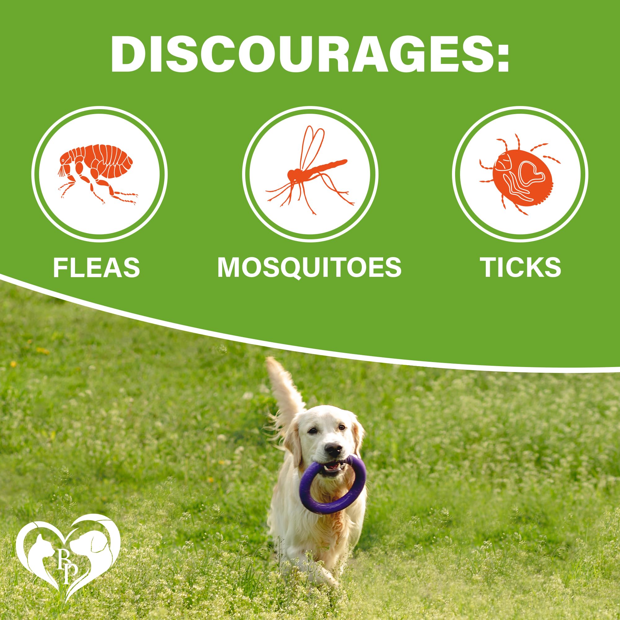 Beloved Pets dosis diaria para perros, guía clara para el uso seguro.