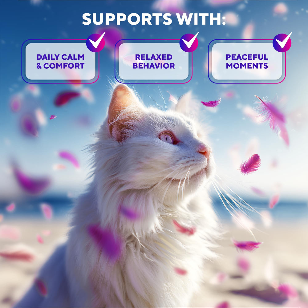 Gato relajado en viaje gracias al spray Beloved Pets.