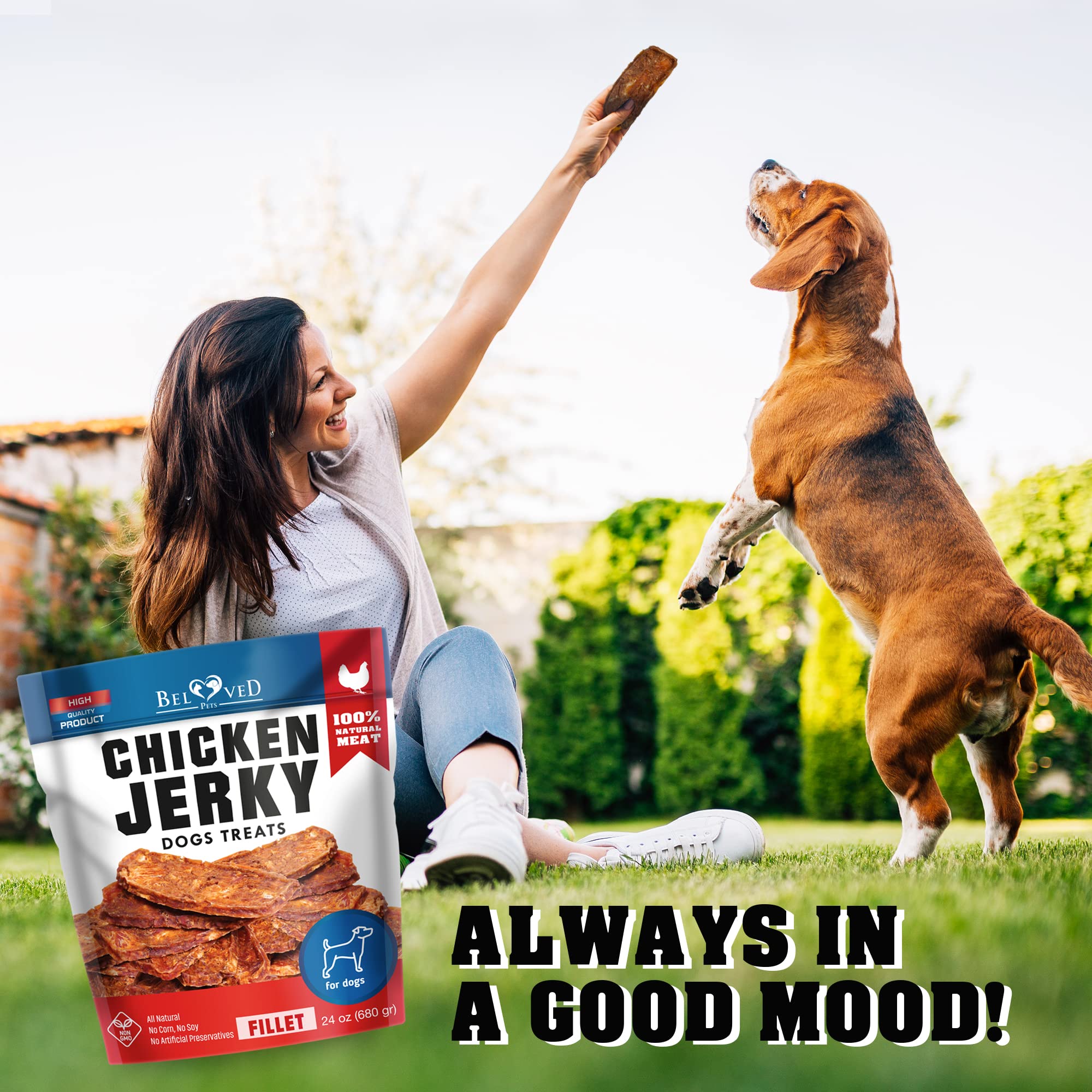 Adecuado para cachorros y perros mayores, Beloved Pets tiras de pollo mejora momentos de premio y vínculo