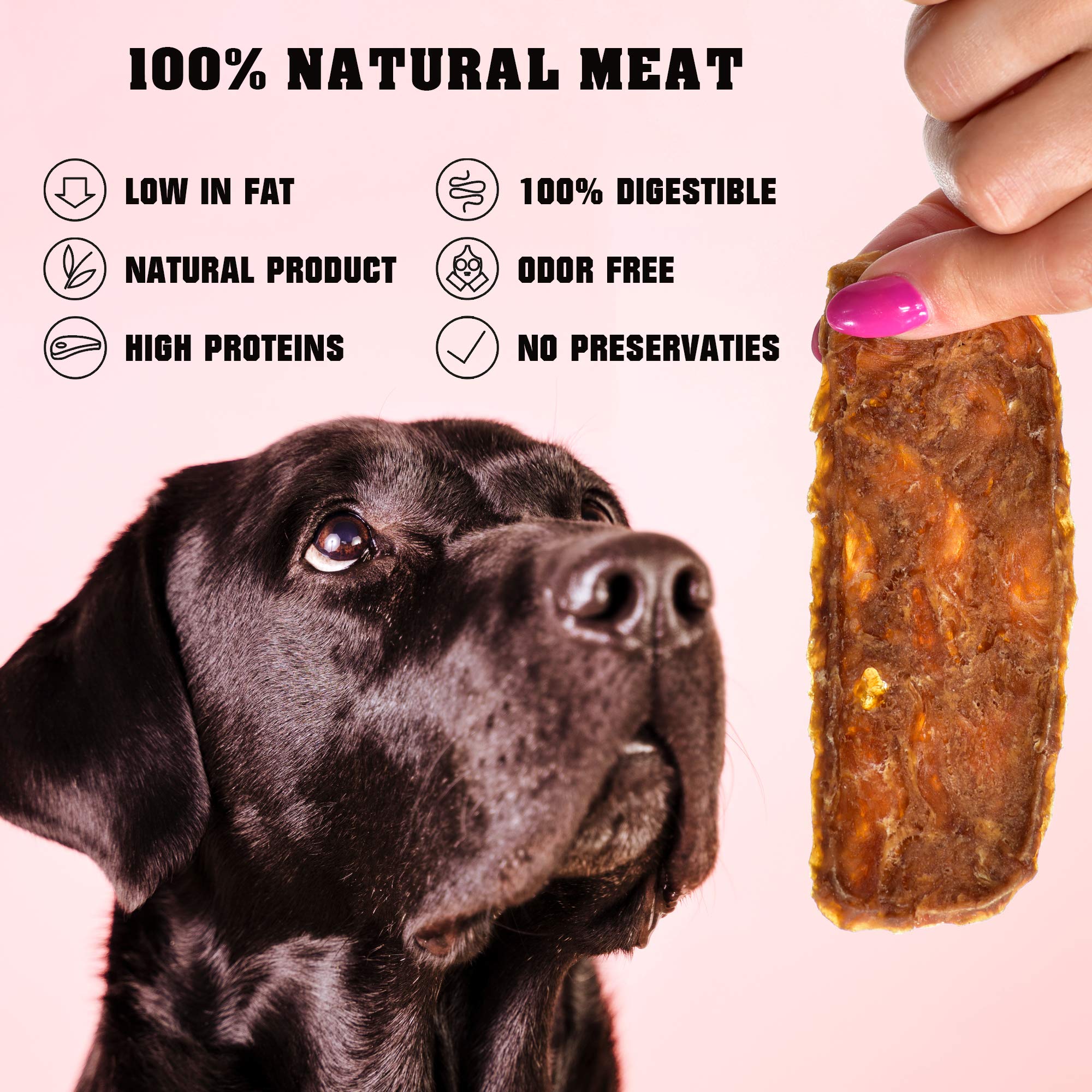 Perro entrenando con Beloved Pets tiras de pollo, snack proteico que favorece la concentración