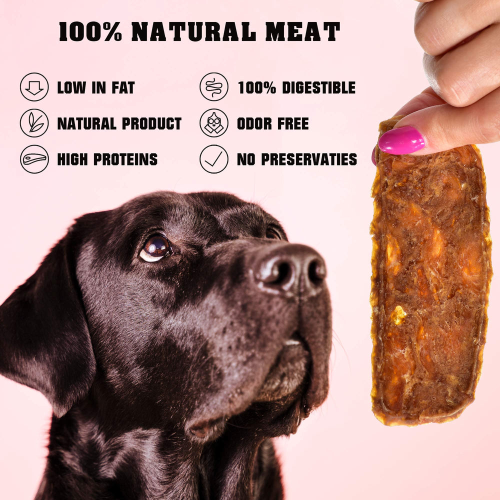 Perro entrenando con Beloved Pets tiras de pollo, snack proteico que favorece la concentración