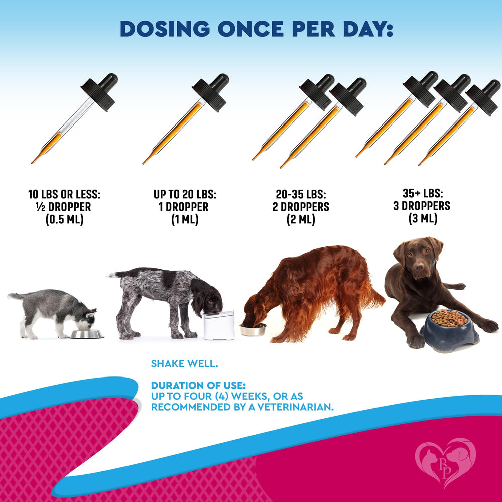 Beloved Pets Presentación: práctico pack con instrucciones simples.