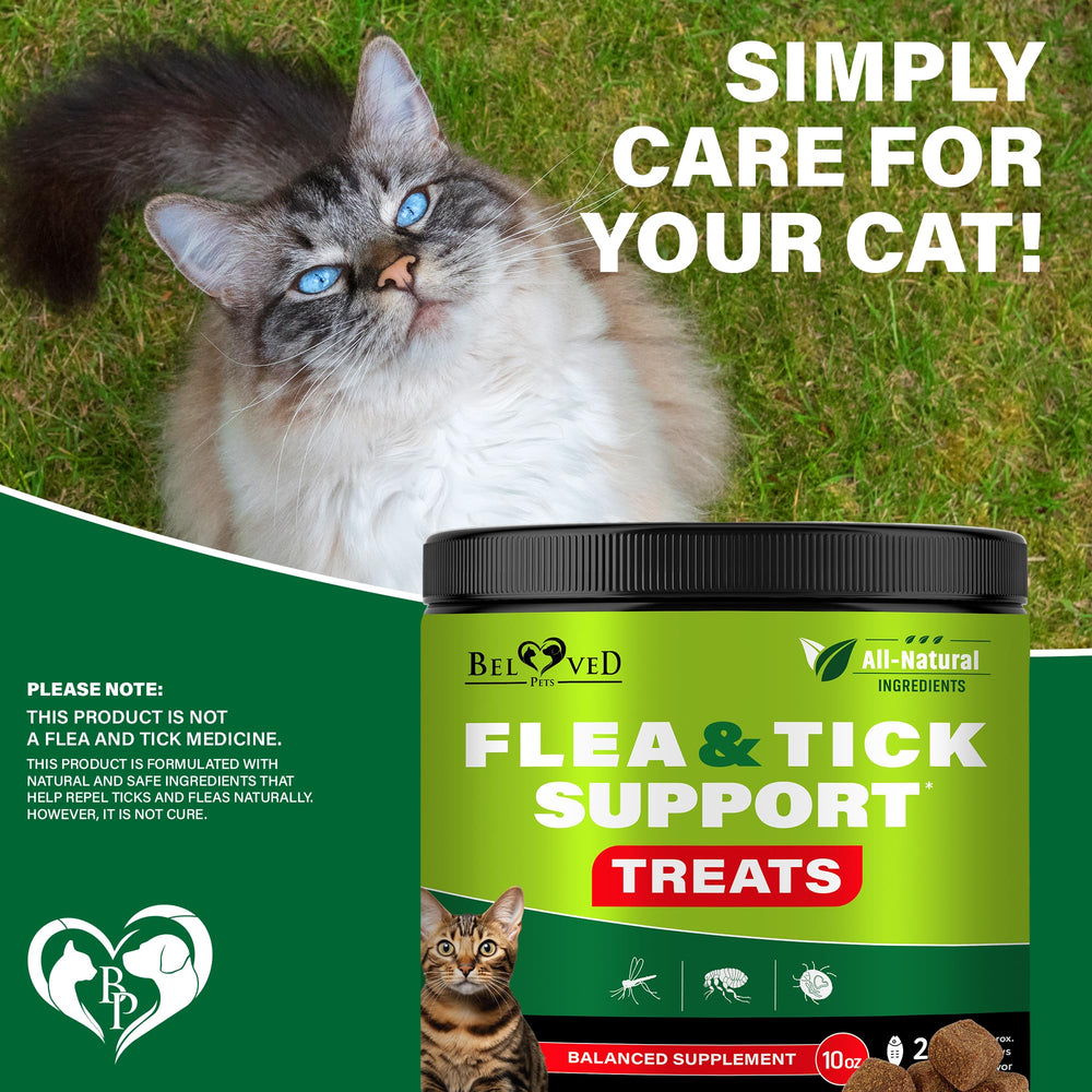 Uso diario de Beloved Pets para la protección continua de mascotas.