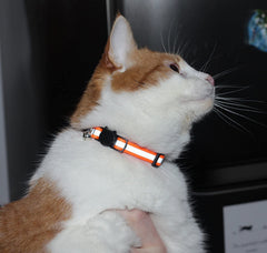 Bemix Pets collar con campana para gato, alerta de movimientos.