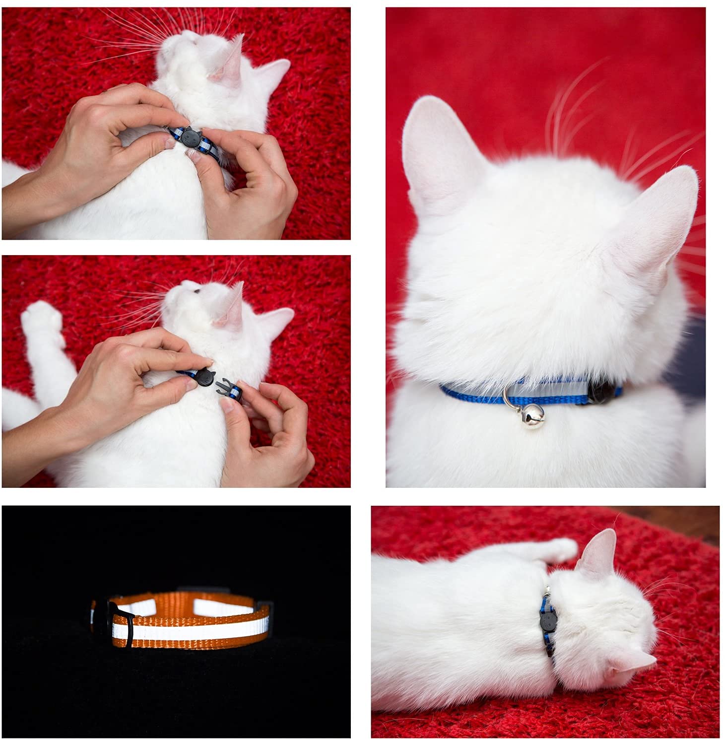 Bemix Pets collar con hebilla de liberación rápida para seguridad.