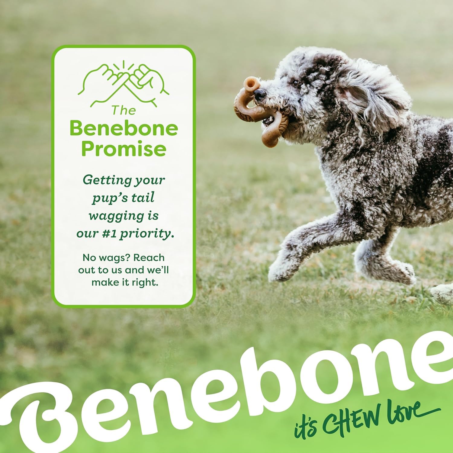 Benebone 7-paquetes mediano: hecho en EE. UU. para calidad.