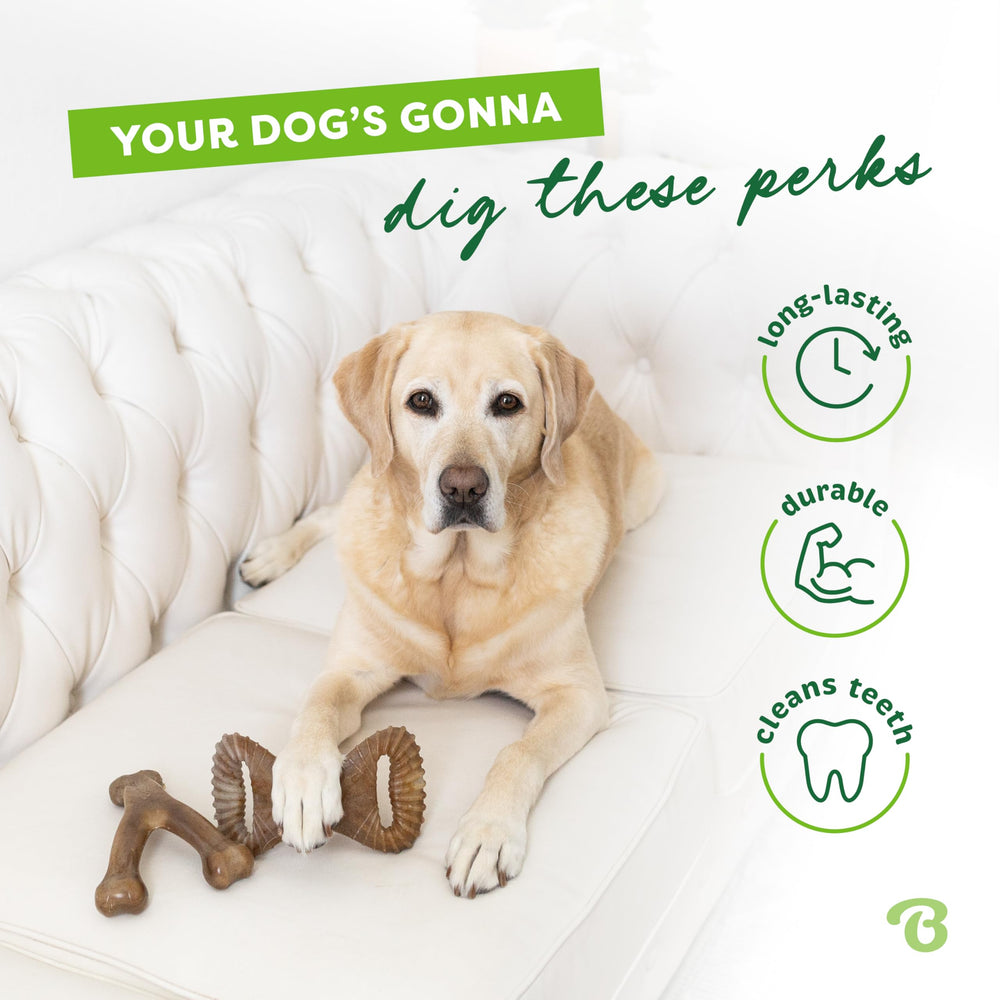 Benebone con agarre fácil, ideal para perros que aman agarrar.