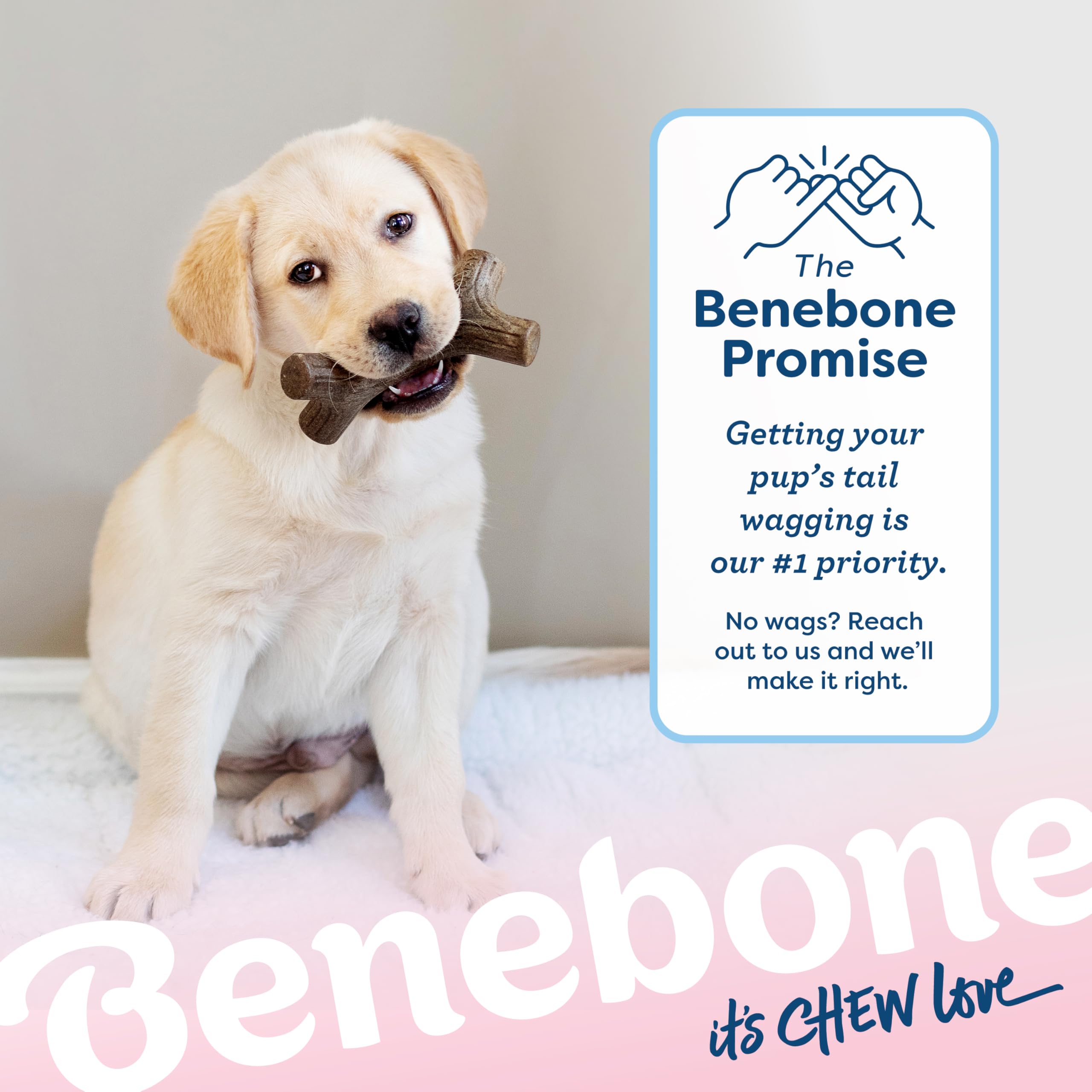 Benebone aviso seguridad sobre alergias a cacahuates