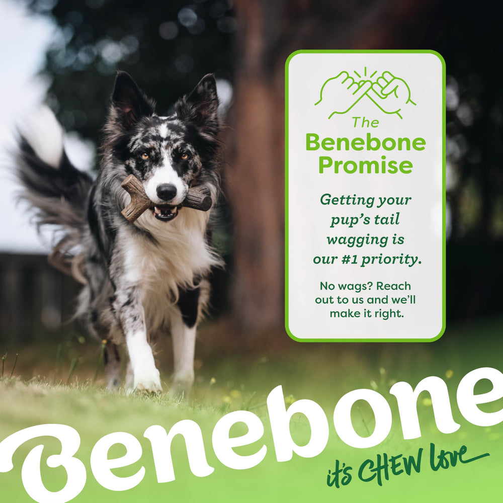 Benebone Bacon Stick resistente para juego de morder y buscar durante horas