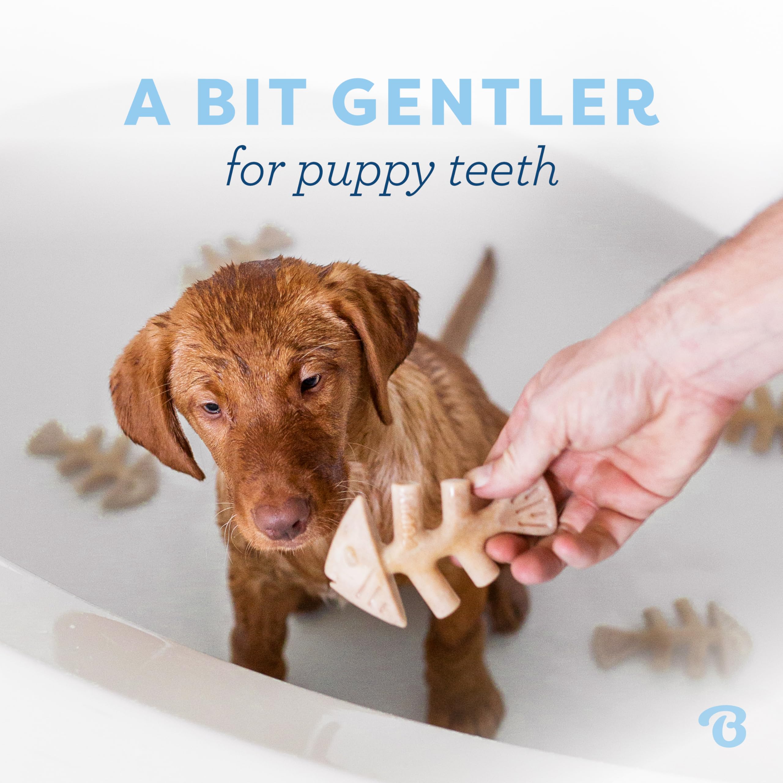 Benebone cachorros: sabor tocino para mordidas