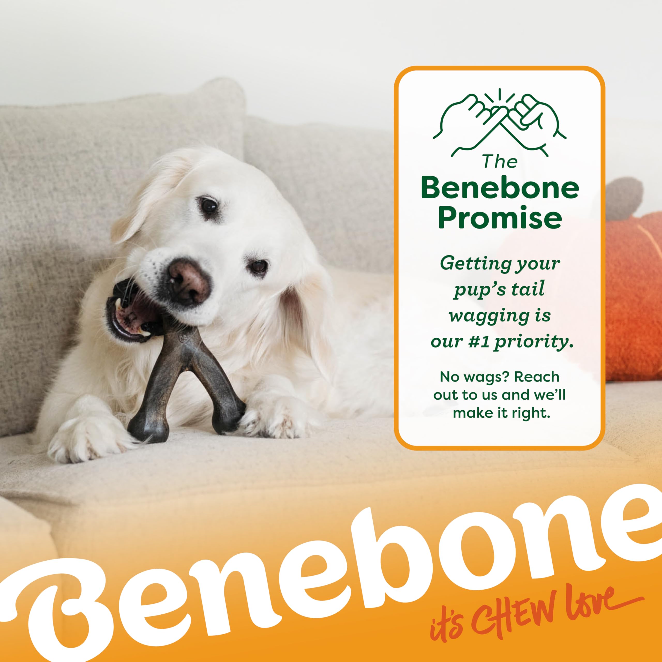 Edición de otoño Benebone Calabaza Especiada Wishbone para entretenimiento diario