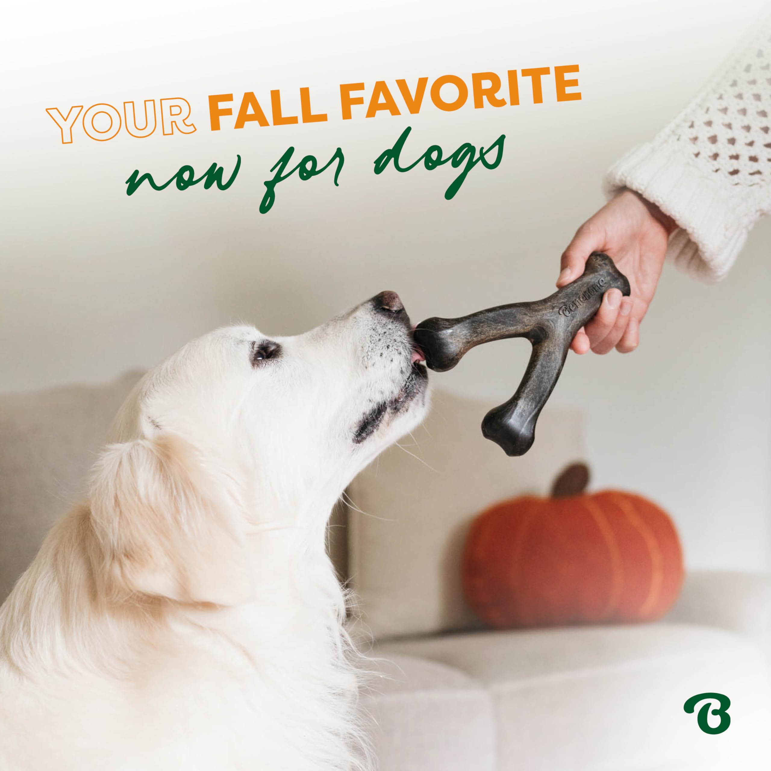 Benebone Calabaza Especiada Wishbone: ayuda a limpiar dientes durante la masticación