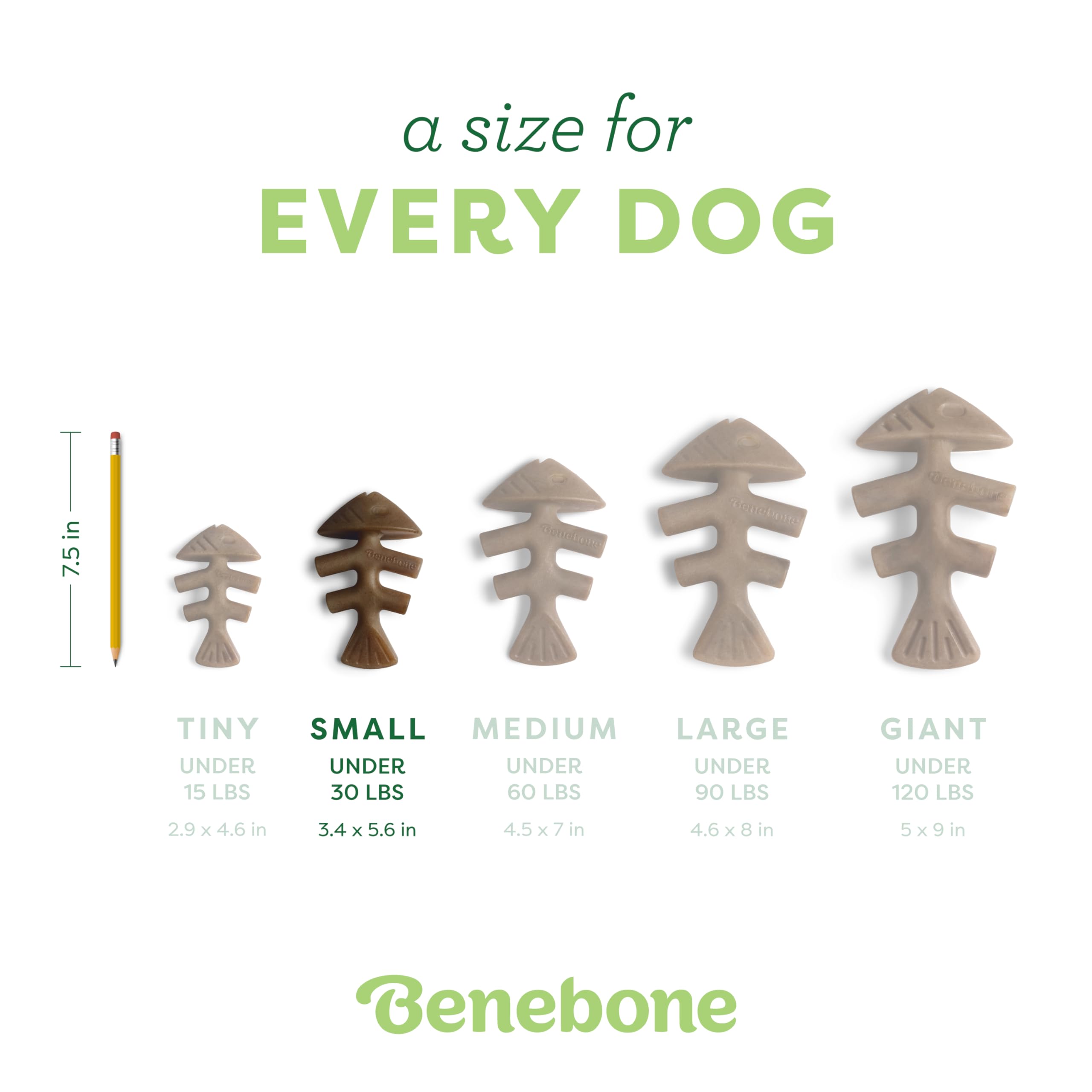 Benebone Fishbone – sessions-mordillage idéales sous supervision