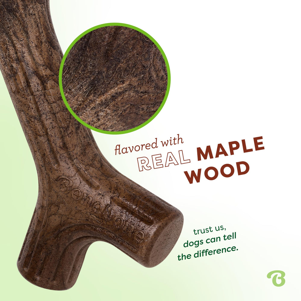 Benebone Maplestick demuestra durabilidad para masticadores agresivos