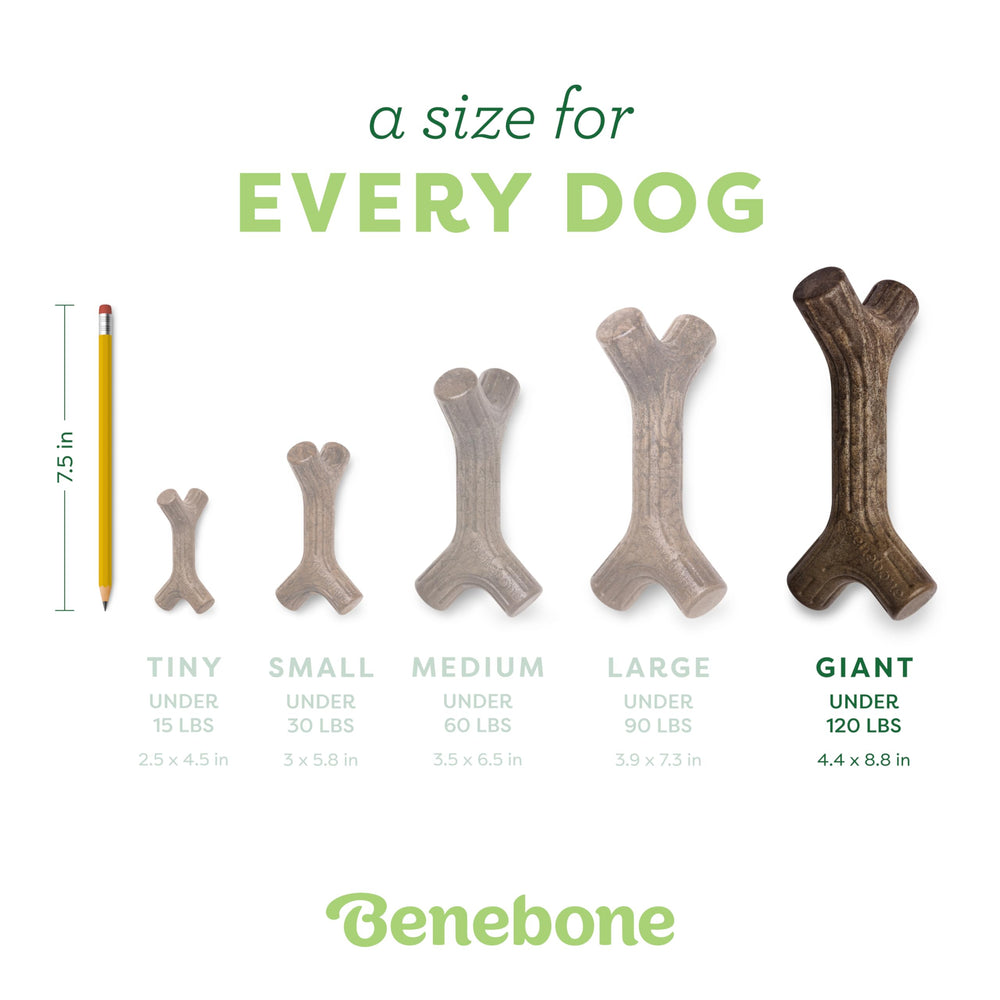 Benebone Maplestick, hecho en EE. UU., calidad asegurada