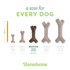Benebone Maplestick sabor a madera real para experiencia natural
