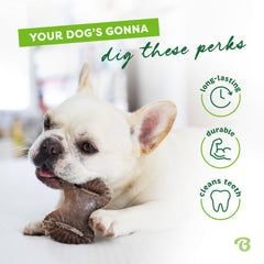 Benebone Mini agarre fácil, mordida cómoda para perros pequeños.