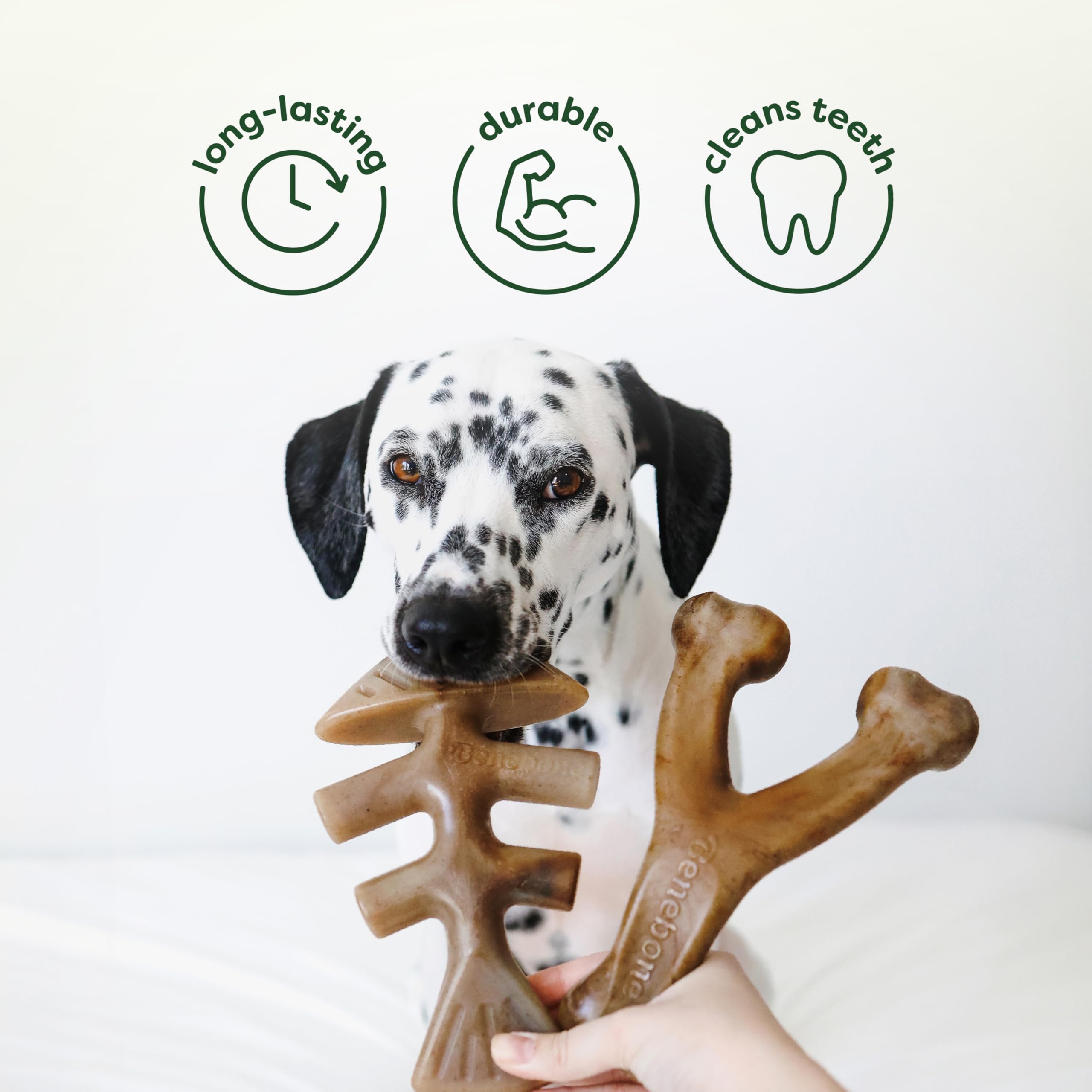 Detalle de textura: pelota de goma Benebone para masticación.