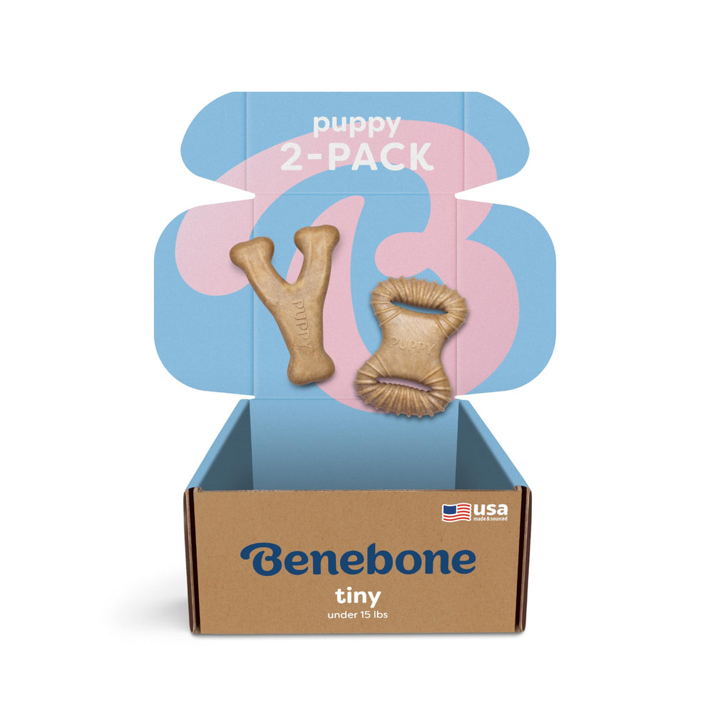 Benebone Puppy 2-Pack: mordedor de pollo real para cachorros, textura duradera