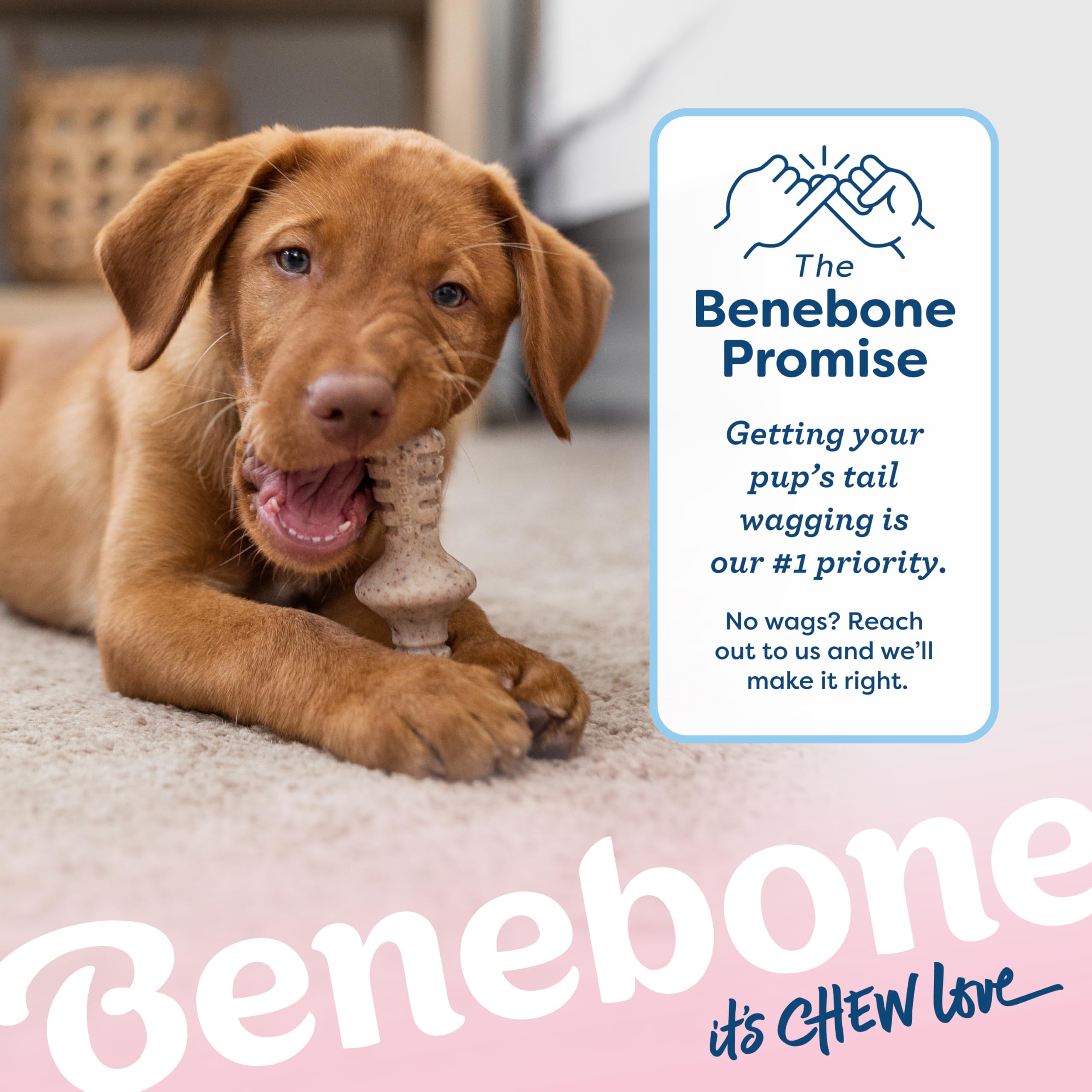 Benebone Puppy Maplestick Zaggler, paquete de dos para cachorros.
