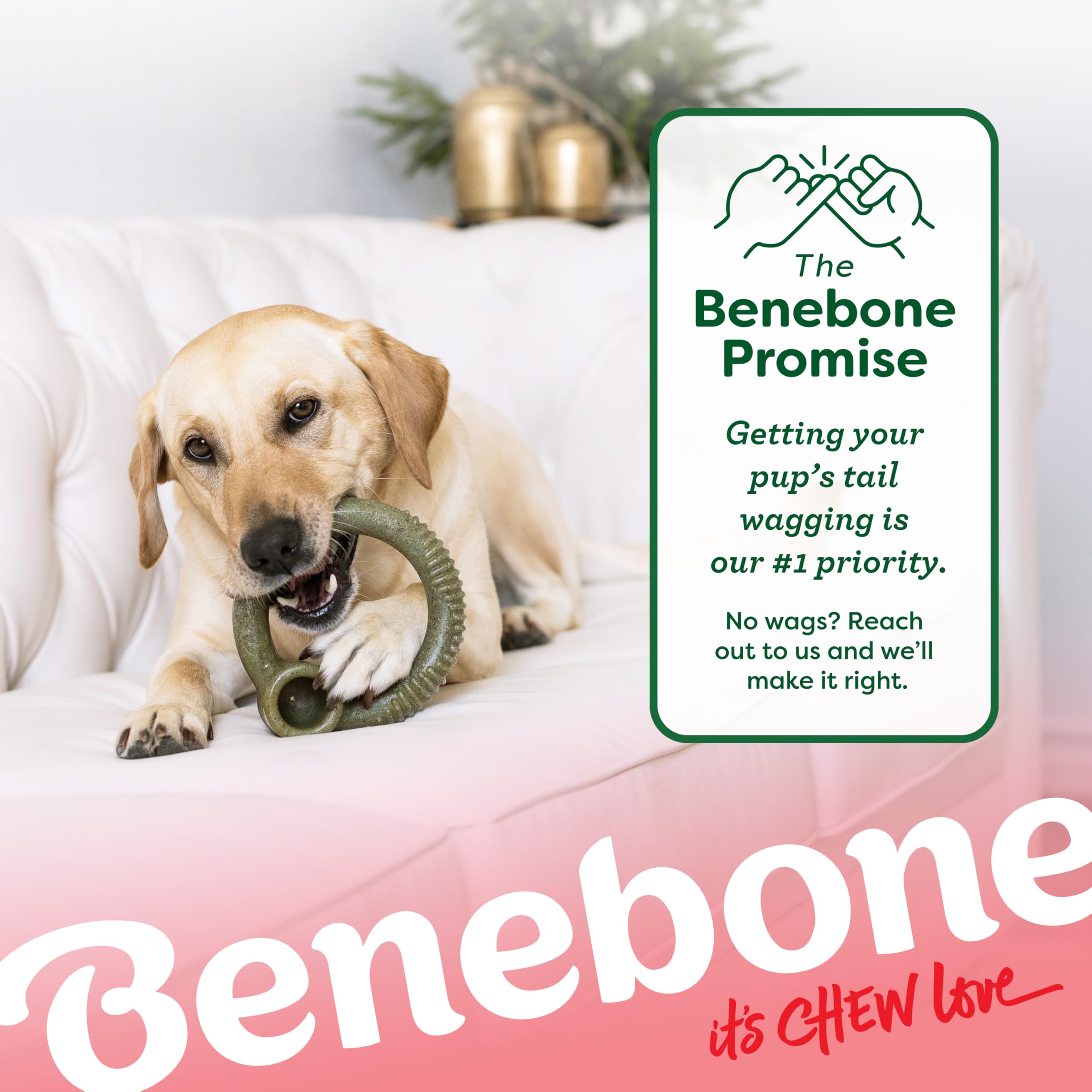 Benebone Ring para viaje: entretenimiento durante desplazamientos.