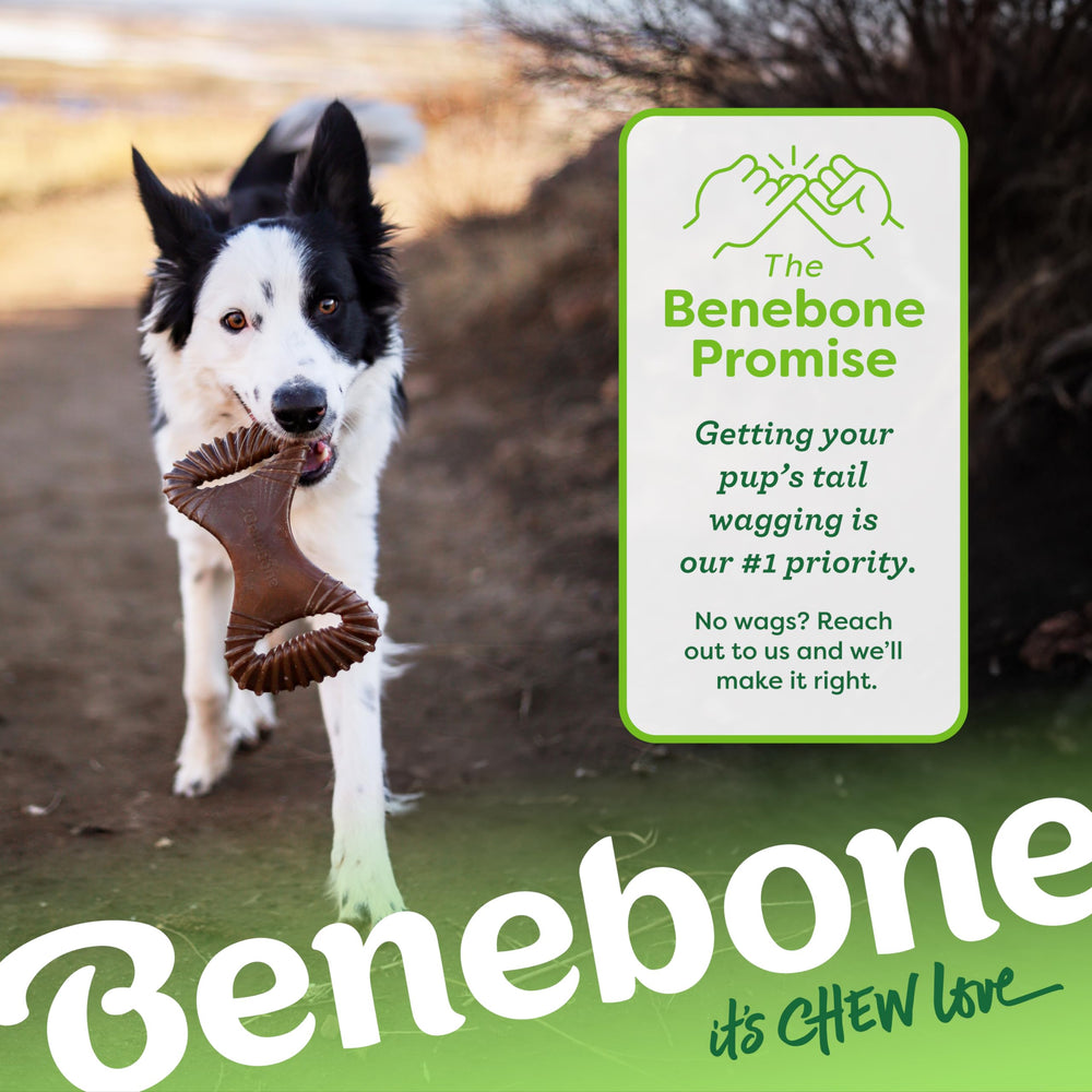 Benebone sabor cacahuete real, producción en Estados Unidos