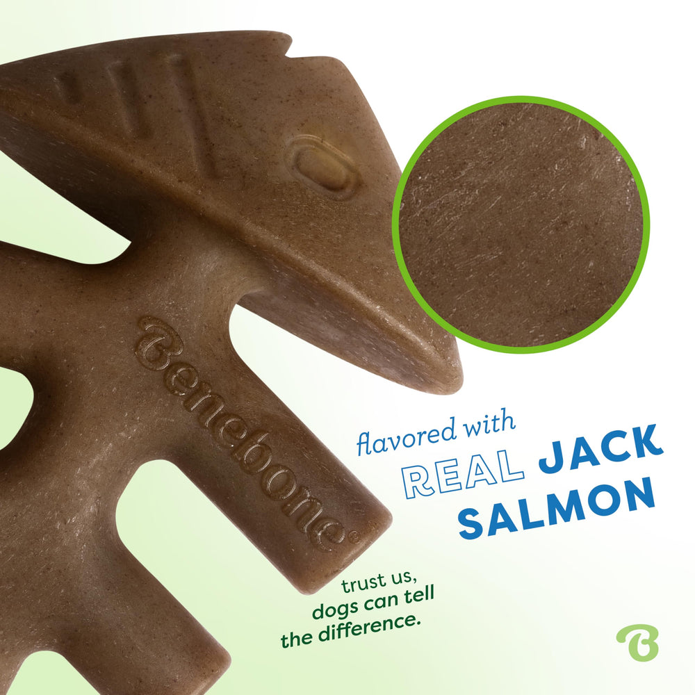 Benebone Tiny 2-Pack, sabor a pescado real, ideal para ejercicios de juego.