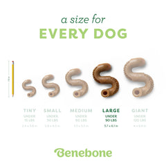 Benebone Tripe Diseño ergonómico facilita tomar y masticar