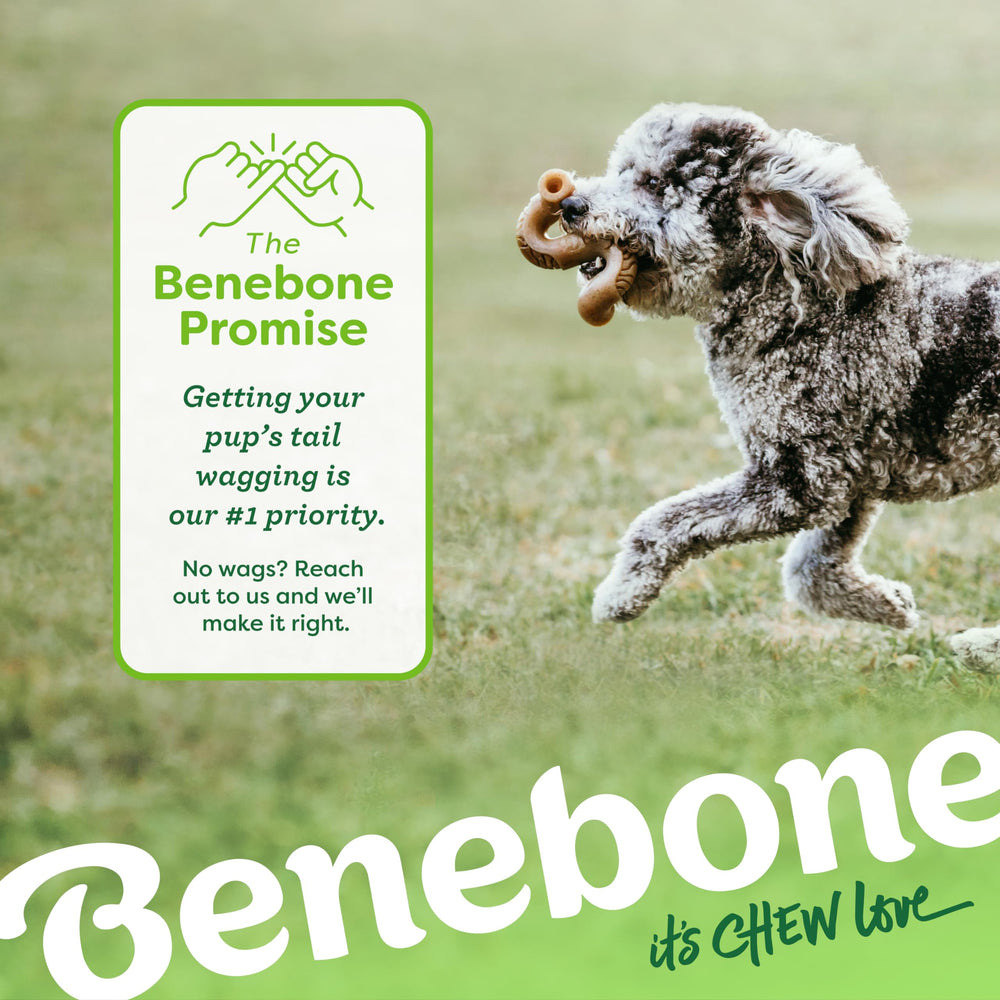 Benebone Tripe Hueso para perros grandes, sabor real y juego