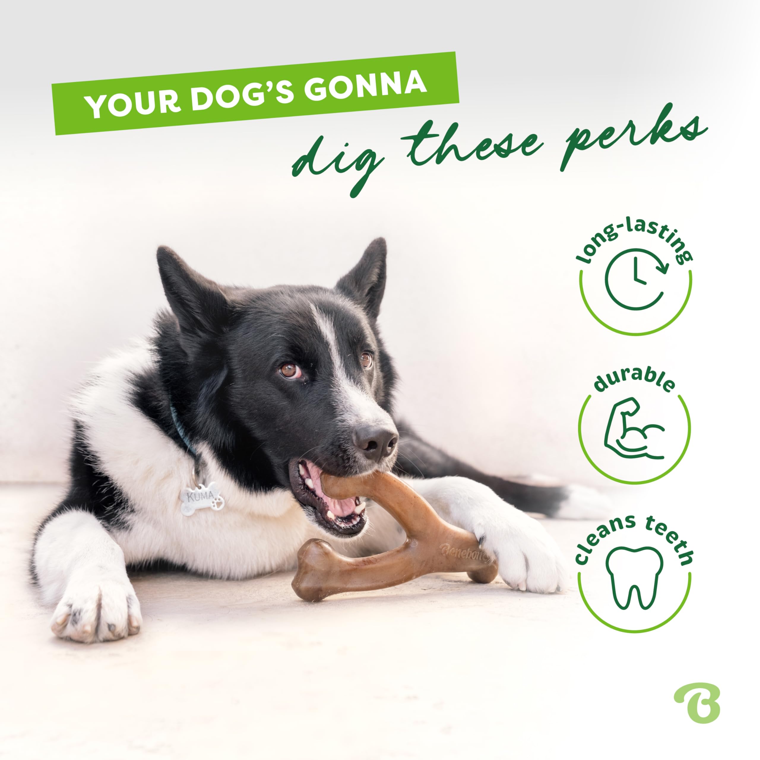 Benebone Wishbone, agarre fácil para zarpas y momentos de juego.