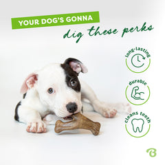 Benebone Wishbone agarre fácil para perros, favorece mordisqueo seguro y cómodo.