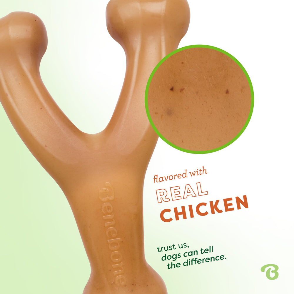 Benebone Wishbone: sabor a pollo real para masticar y disfrutar.