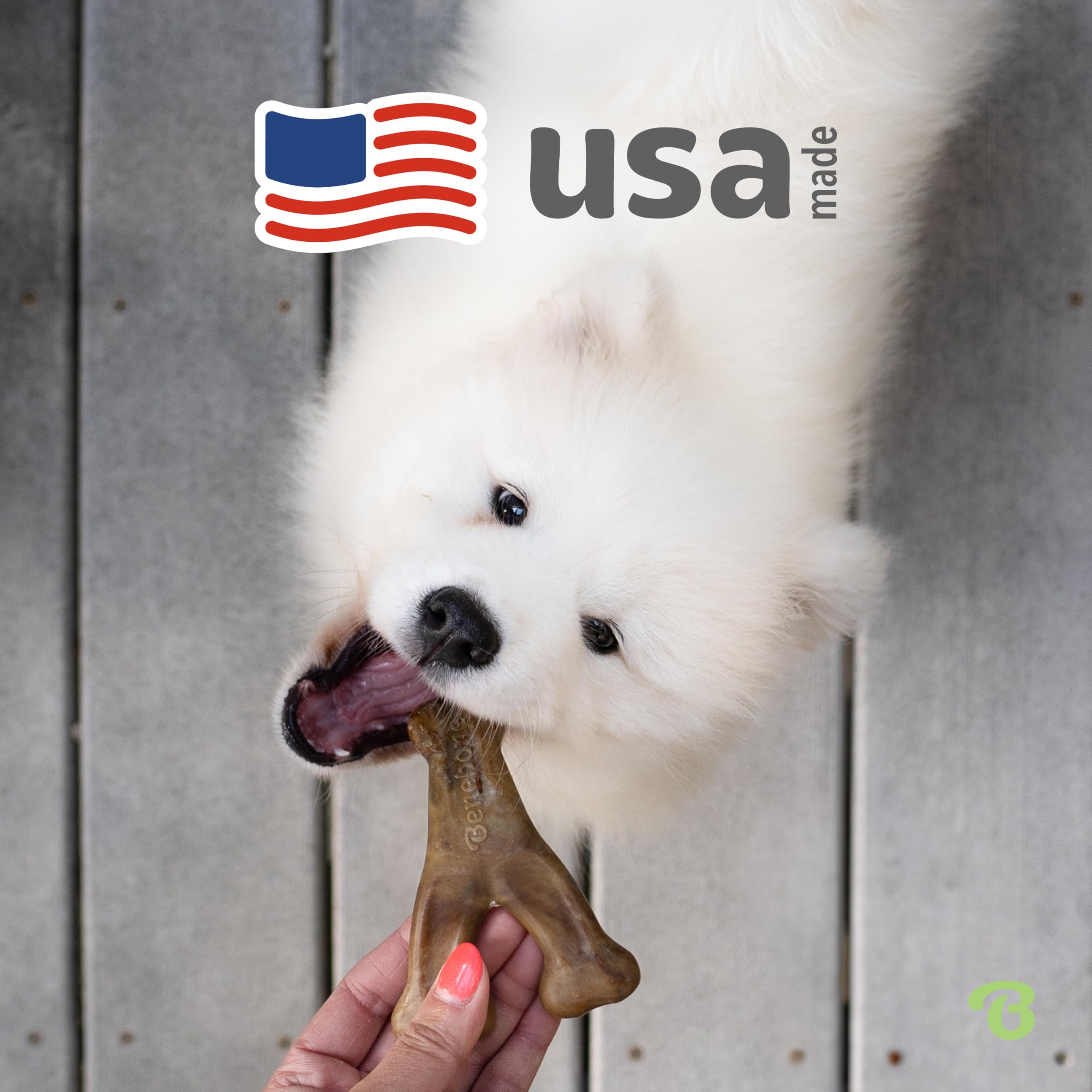 Benebone Wishbone tamaño mini, perfecto para razas pequeñas o cachorros.