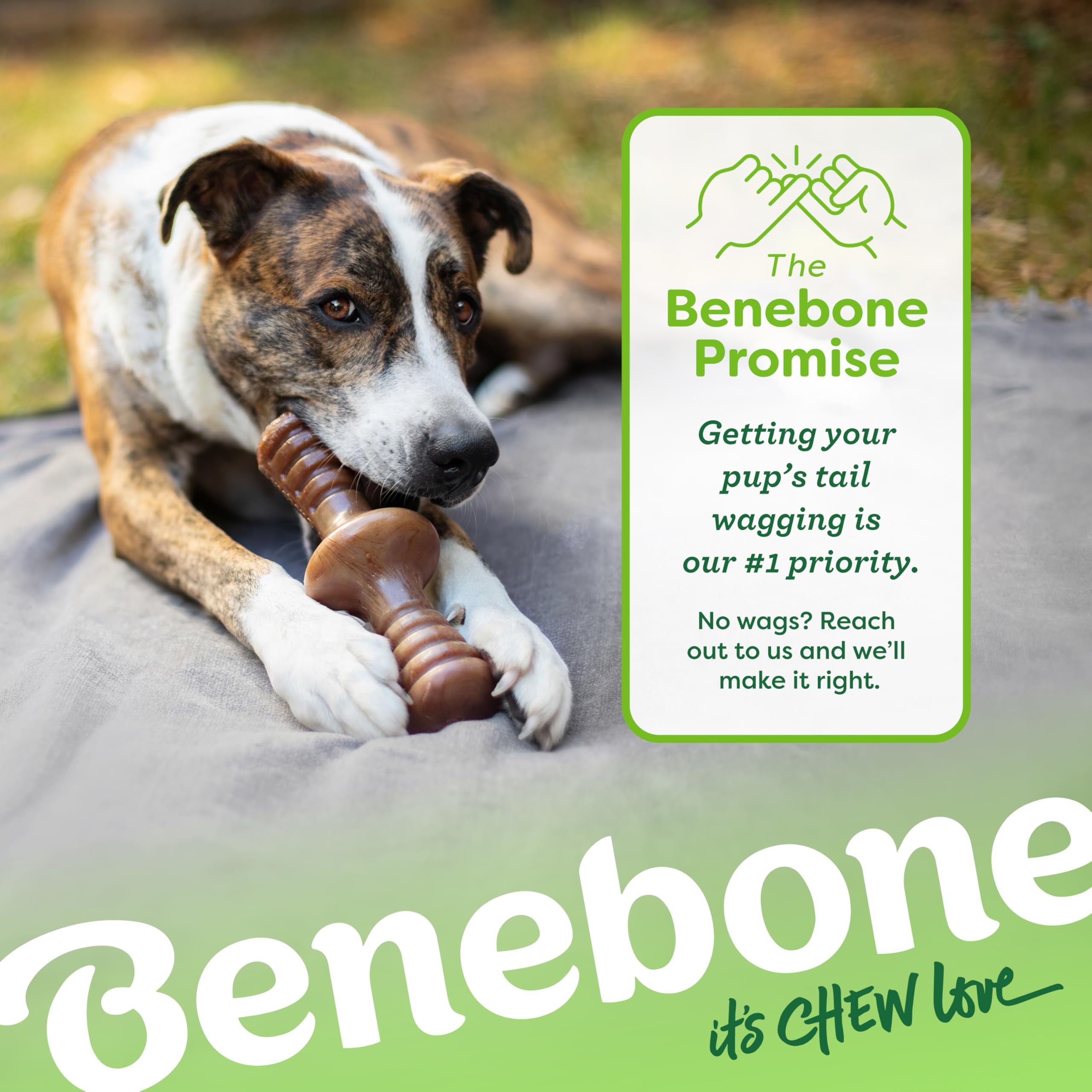 Benebone Zaggler combina sabor y seguridad para sesiones de juego prolongadas.