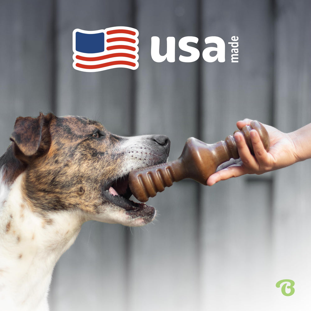 Benebone Zaggler dura semanas, ideal para perros masticadores agresivos.