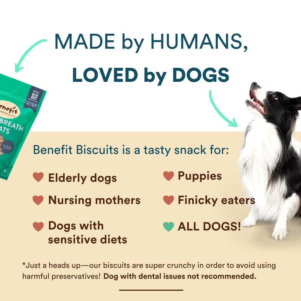 Benefit Biscuits sin gluten, apto para perros.