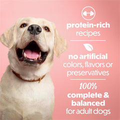 Beneful textura suave con carne real: experiencia de comida agradable para tu perro.