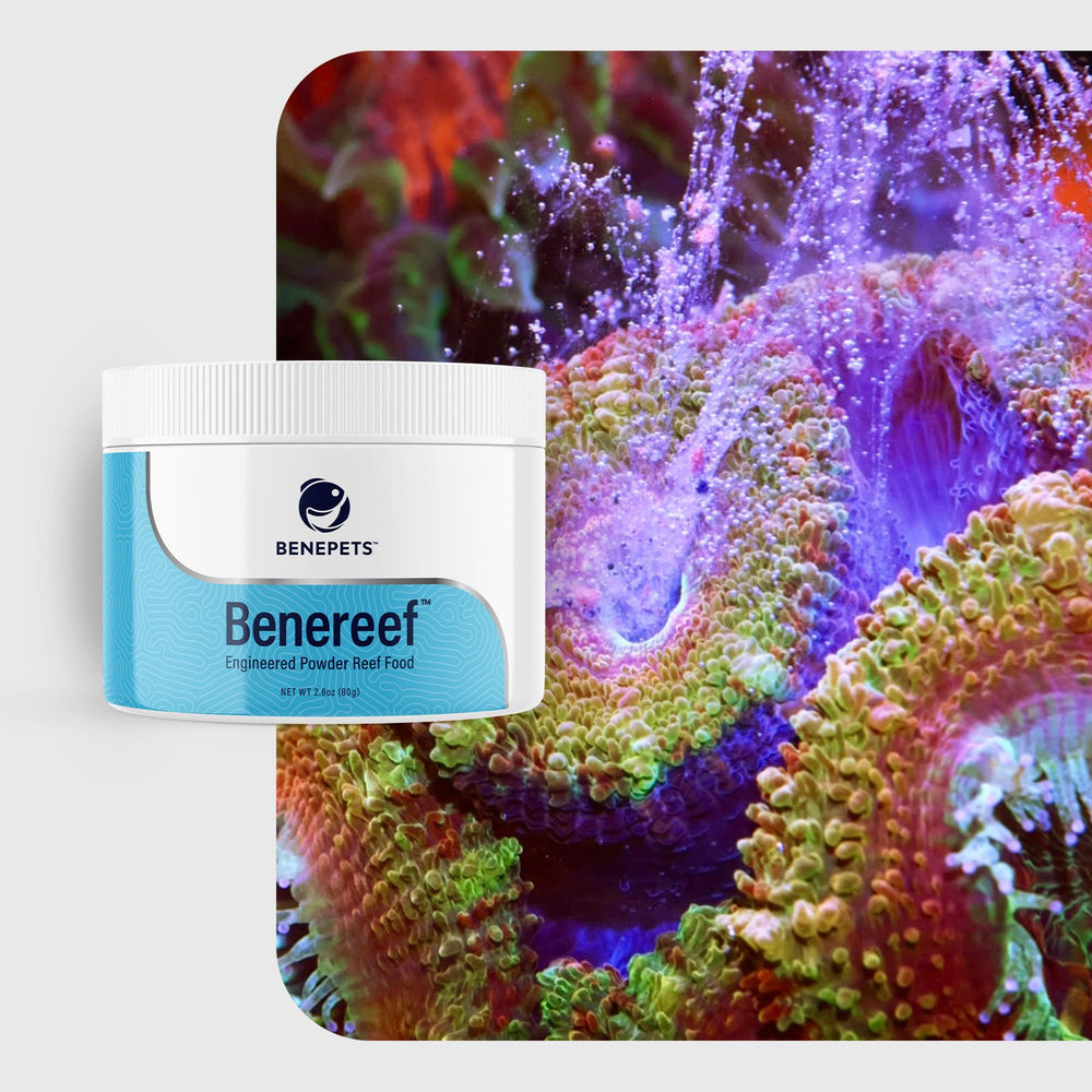 Benereef vitaminas y minerales para metabolismo de corales.