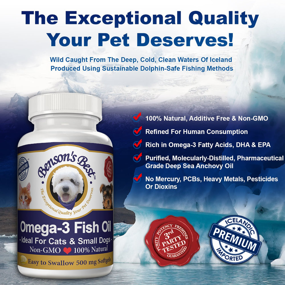 Mascota tomando la dosis de Benson's Best Omega-3, uso diario recomendado.