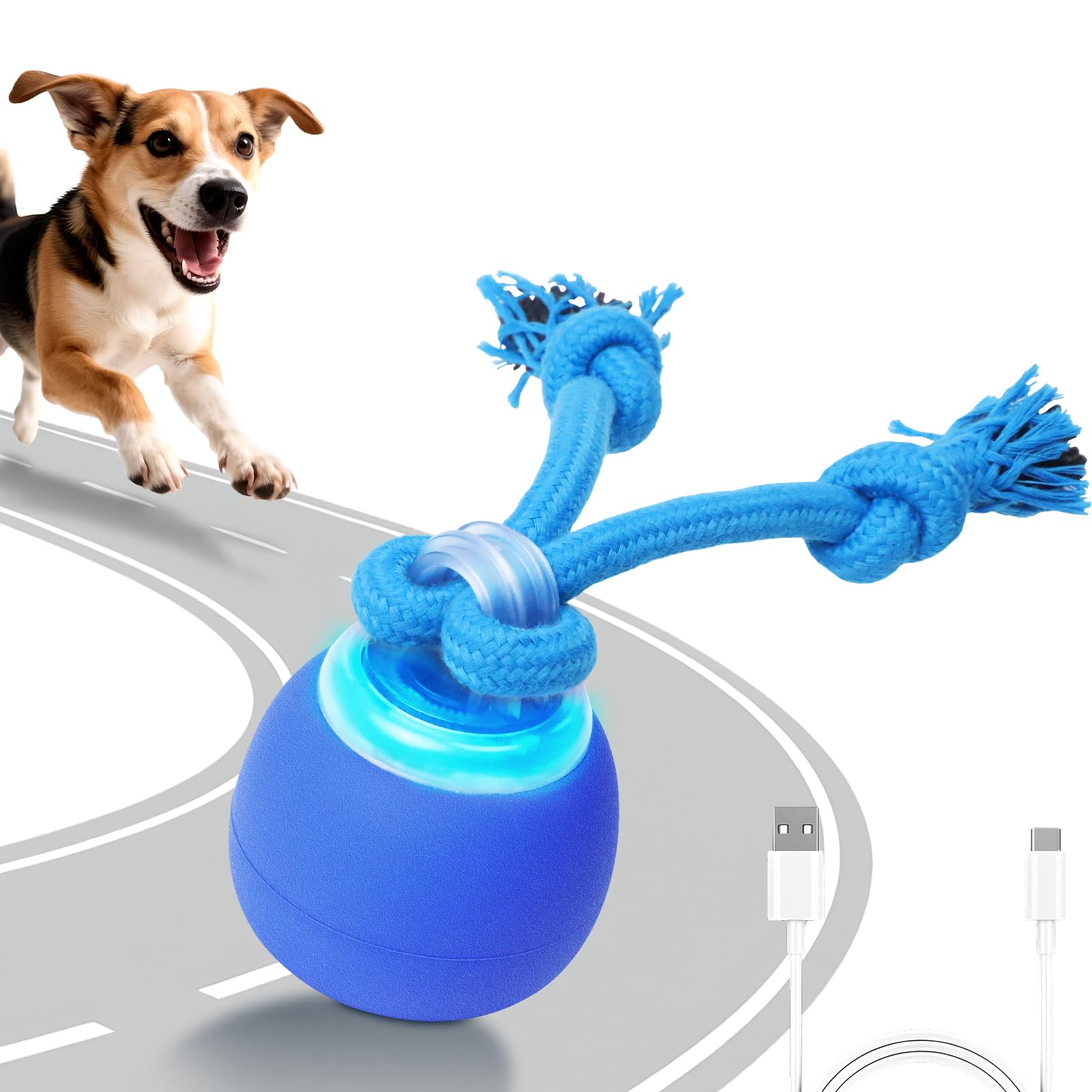 BENTOPAL bola interactiva con cuerda, entretenimiento activo para perros curiosos.
