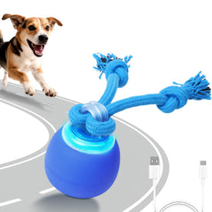 BENTOPAL bola interactiva con cuerda, entretenimiento activo para perros curiosos.