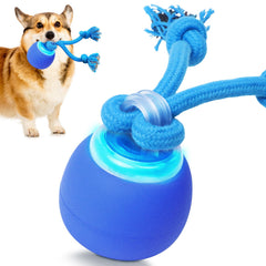 Juguete interactivo de BENTOPAL para cachorros, pelota azul que estimula la caza