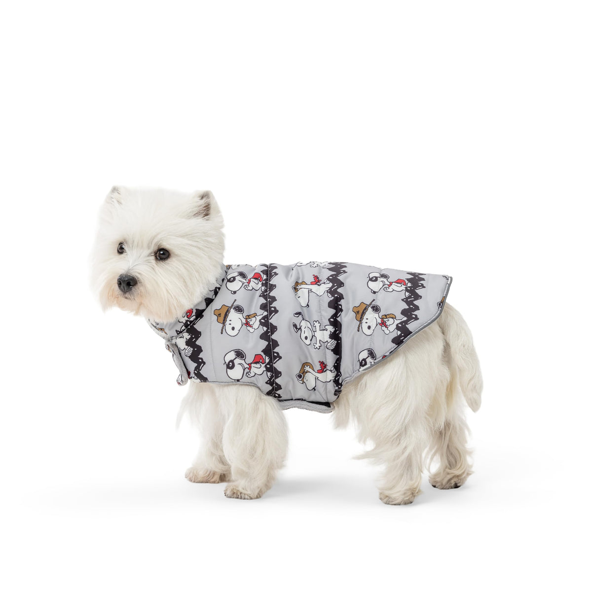 Berkshire Peanuts chaqueta frente Snoopy: abrigo cálido para paseos diarios.