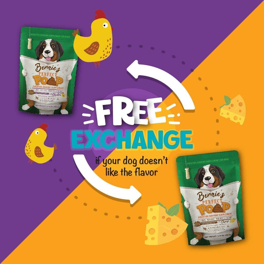 Bernie's beneficios digestivos para perros pueden favorecer confort diario.
