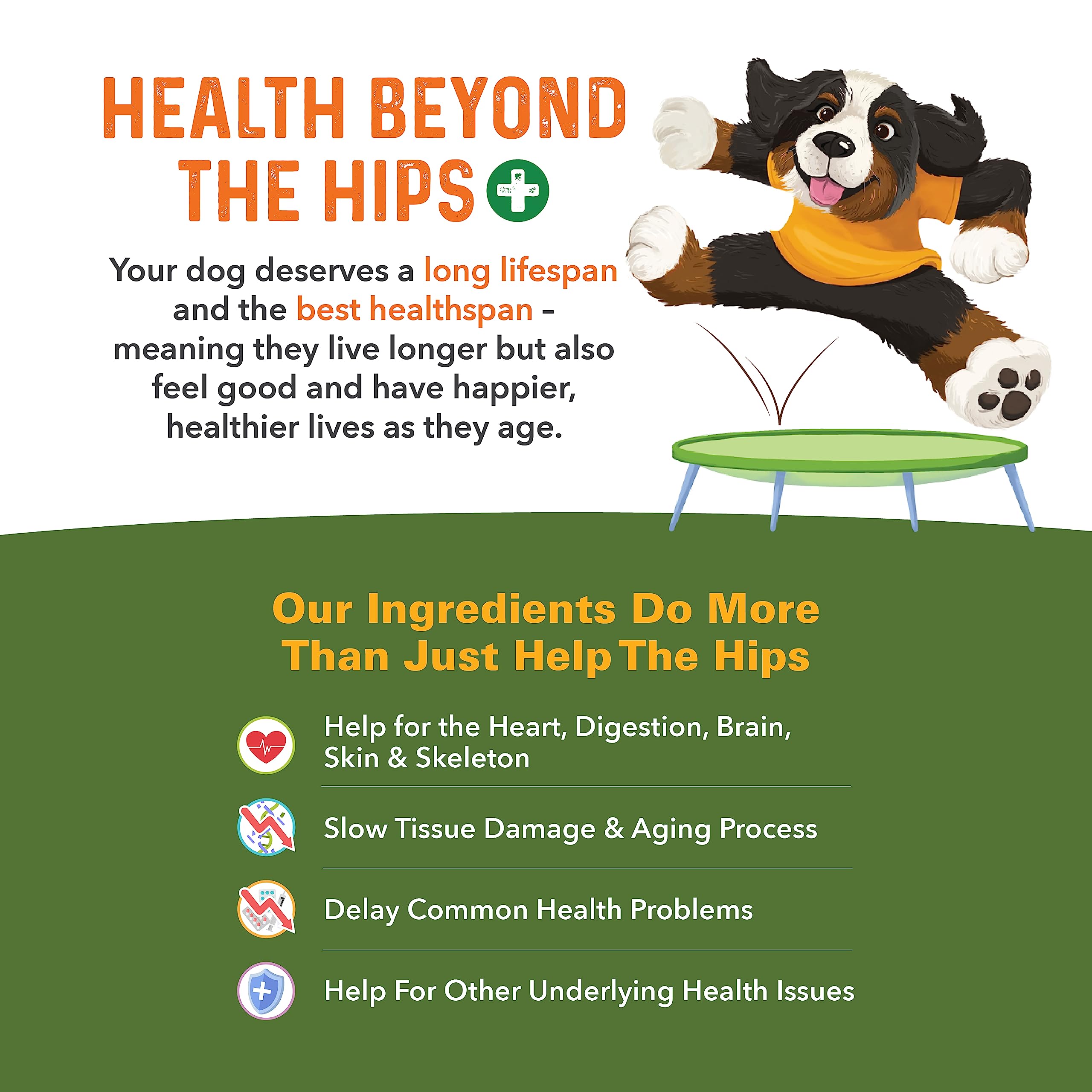 Bernie's ingredientes clave omega-3 para bienestar general.