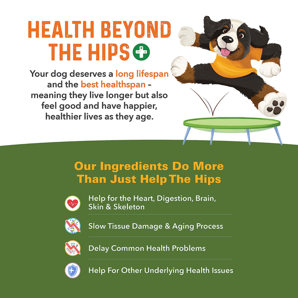 Bernie's ingredientes clave omega-3 para bienestar general.