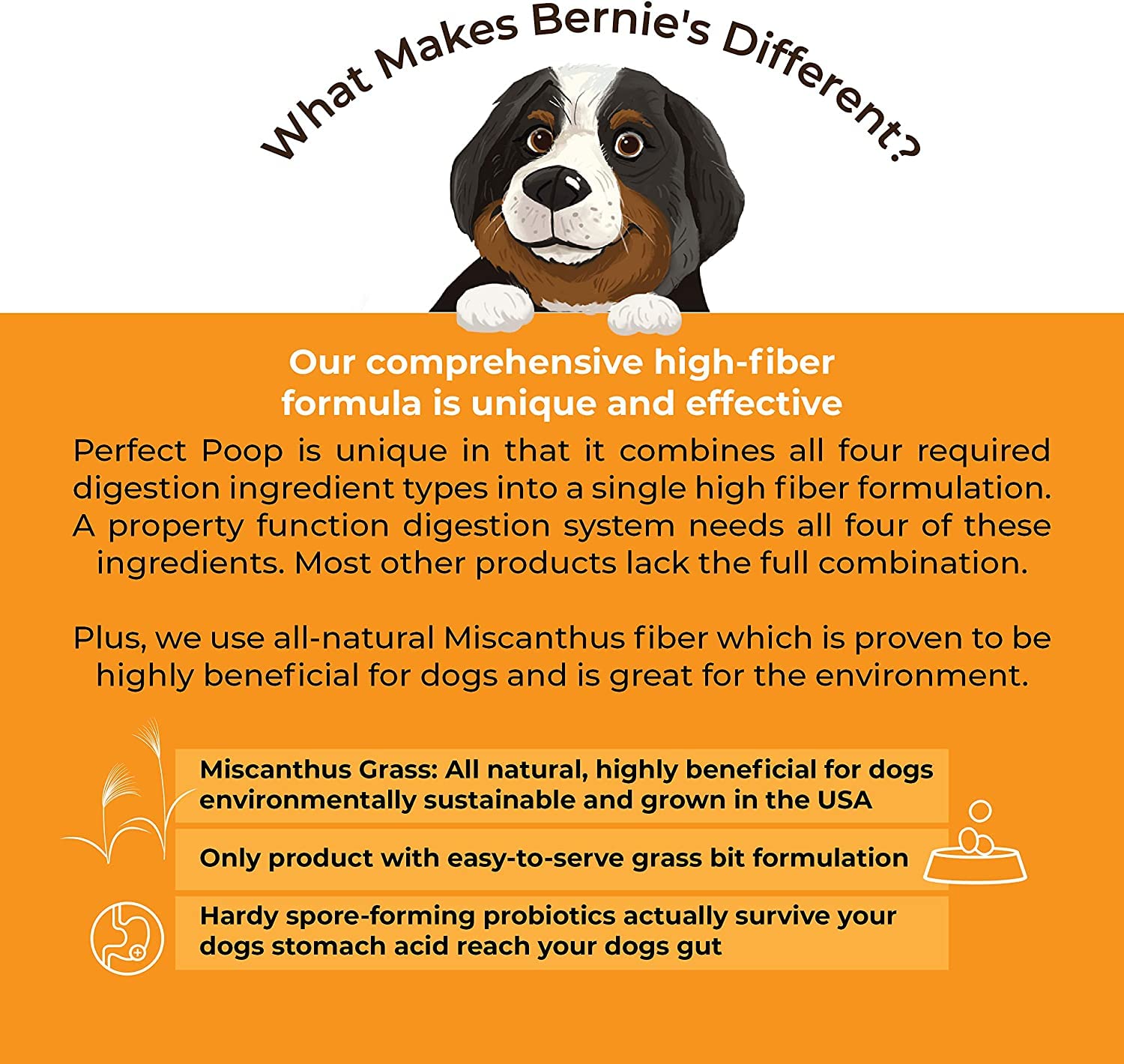 Bernie's Perfect Poop, fórmula 4 en 1 con fibra, prebióticos, probióticos y enzimas.