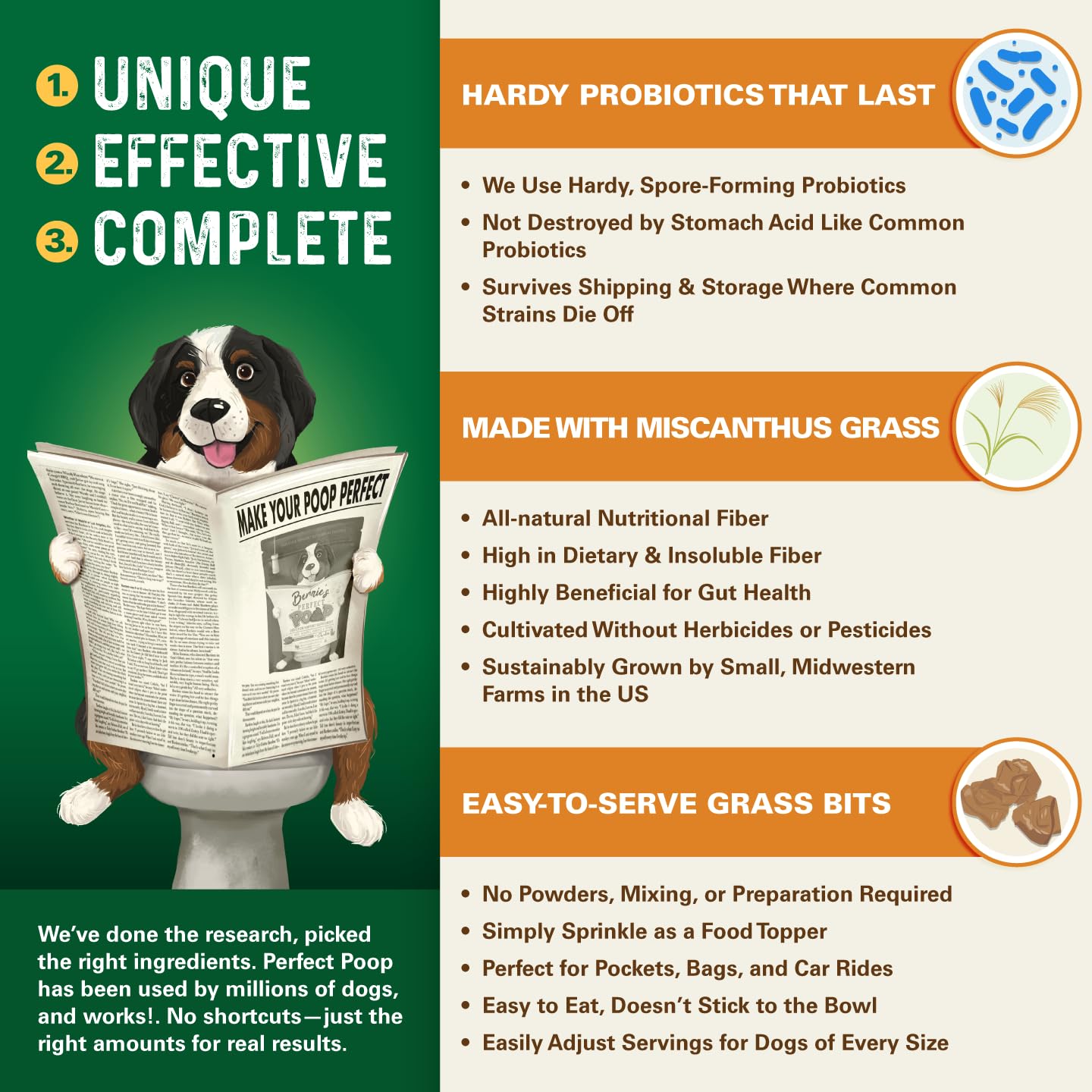Bernie's Perfect Poop, uso diario para soporte digestivo y consistencia.