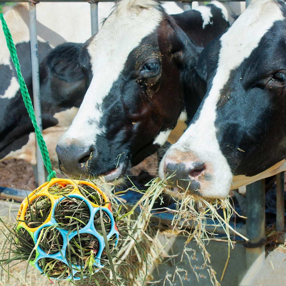 Besimple bola de actividad para caballo, mantiene al animal en movimiento