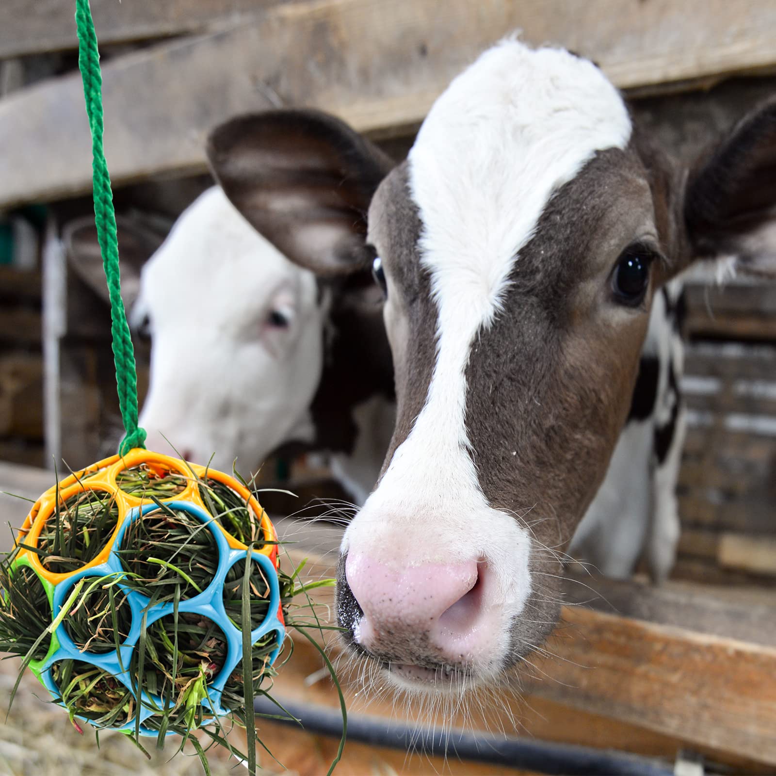 Besimple bola de alimento heno para oveja colgante, fomenta forraje natural